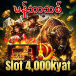 မန်ဘာသစ်ဖရီး 4000kyat