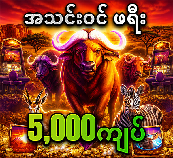 ကျွဲ