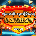 shwe casino apk